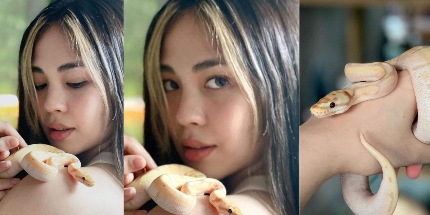 JANELLA, NAKIPAGLARO SA MAS MALAKING PET SNAKE NA SI VALENTINO