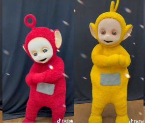 Teletubbies-photo