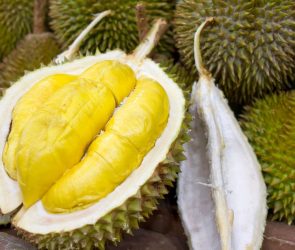 The King of Fruits Exploring the Nutritional Powerhouse of Philippine Durian